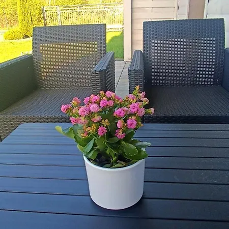 Vakantiehuis Lazur Rogowo (Gryfice)