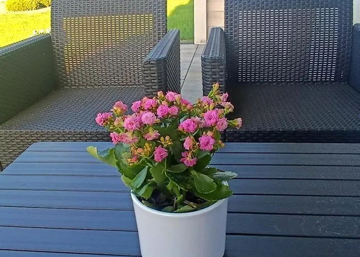 Holiday home Lazur Rogowo (Gryfice)